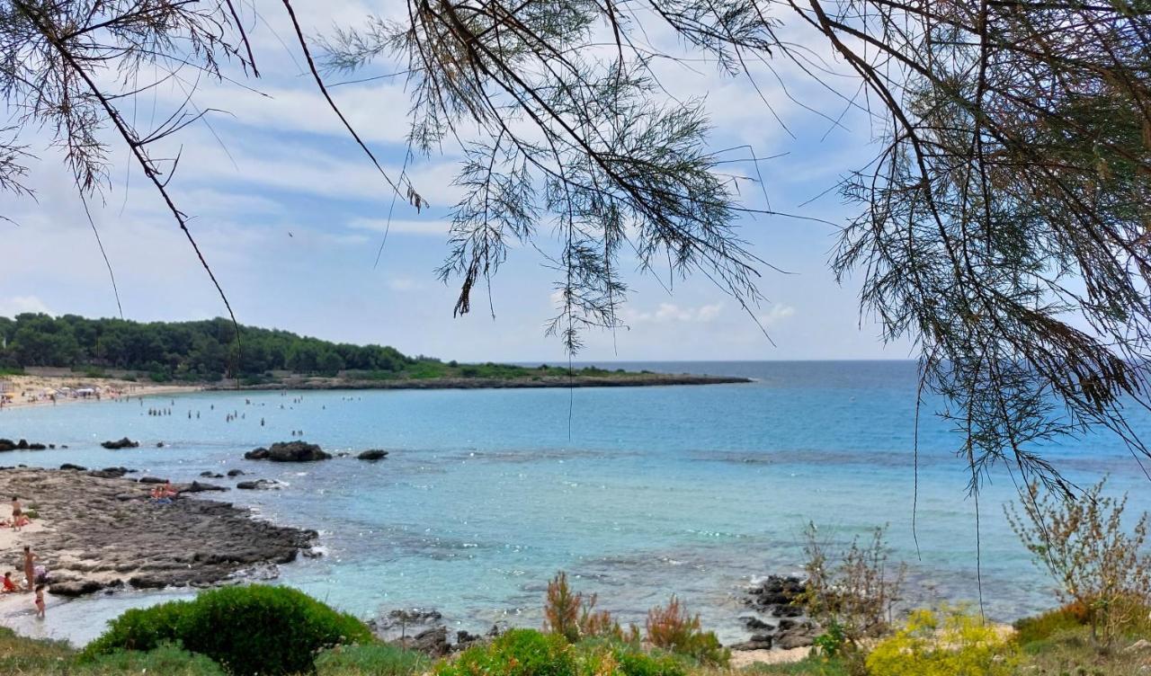 פולסנו Jonia Appartamento Vacanze Vicino Al Mare Con Giardino מראה חיצוני תמונה